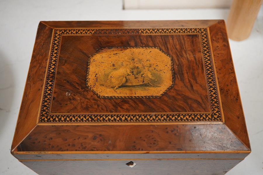 A Regency inlaid burr yew sarcophagus work box, 22cm